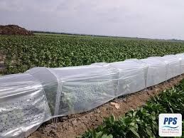 نایلون عریض کشاورزی uv دار مناسب پوشش گلخانه حرفه ای